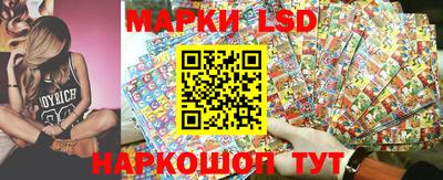 крисы Малгобек