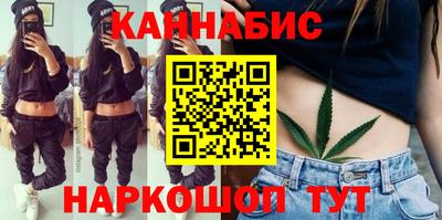 крисы Малгобек