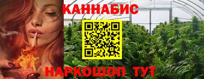 крисы Малгобек