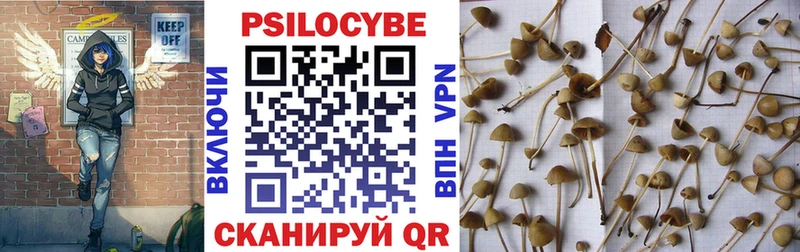 магазин    Дятьково  hydra как зайти  Галлюциногенные грибы MAGIC MUSHROOMS 