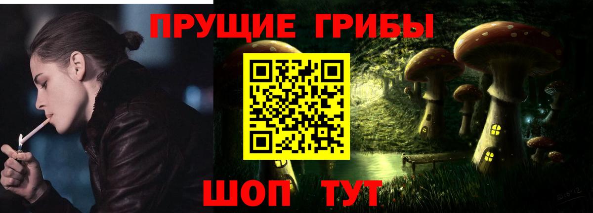 Дятьково  Псилоцибиновые грибы GOLDEN TEACHER  Вход с VPN 